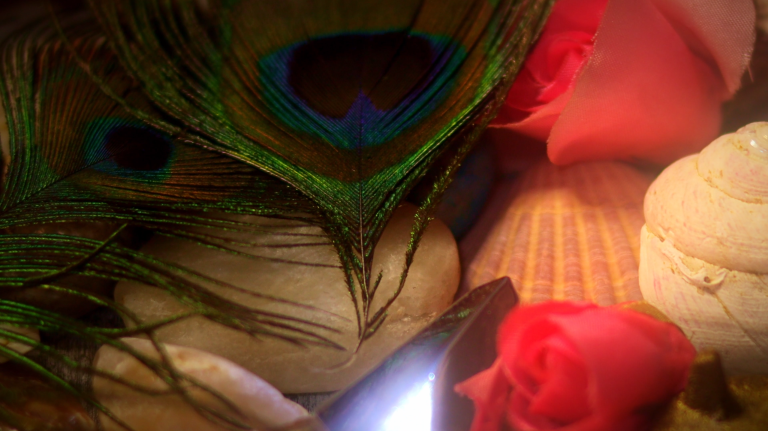 Captura de pantalla 2025-02-19 191206